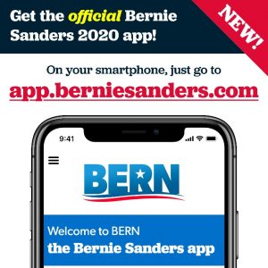 Politieke marketing in de Amerikaanse presidentsverkiezingen